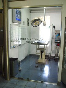 Surgery Suite