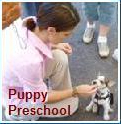 homepreschool